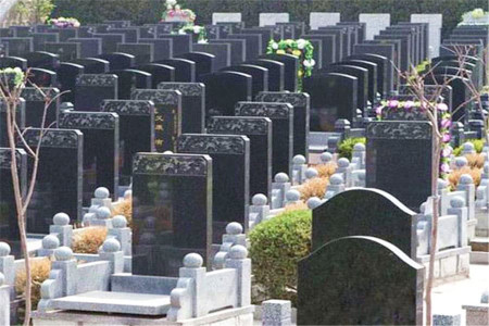 郑州市中原区郑州市民公墓墓区环境图
