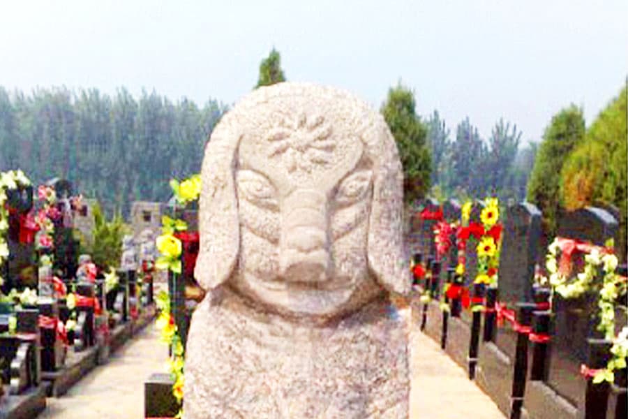 郑州市二七区万福金像陵园墓区环境图