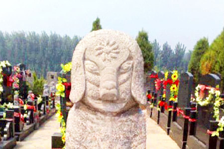郑州市二七区万福金像陵园墓区环境图