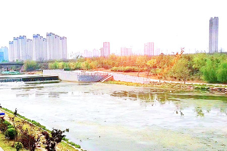 郑州市惠济区净土生态园园区湖景图