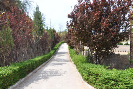 郑州市荥阳市邙山陵园园区环境图