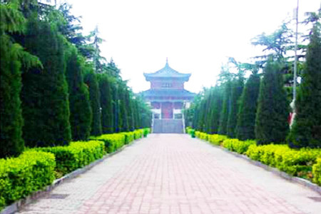 郑州市惠济区净土生态园园区环境图