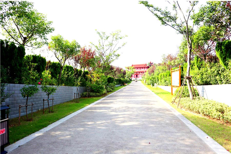 郑州市惠济区净土生态园园区环境图