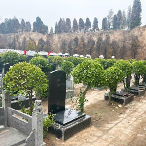 郑州市荥阳市北邙陵园传统立碑墓型8号