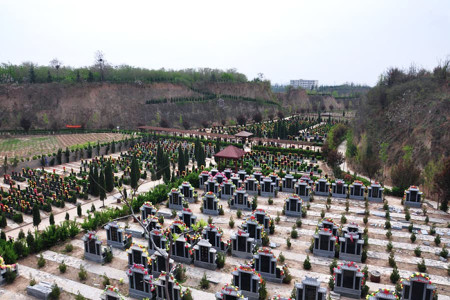 郑州市荥阳市邙山陵园墓区环境图