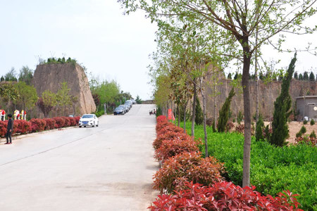 郑州市荥阳市邙山陵园园区环境图