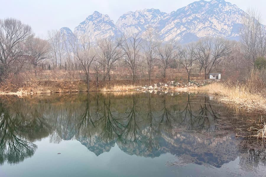 莲花山人文纪念园景观图