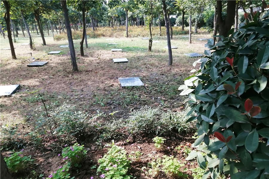 黄龙岗陵园