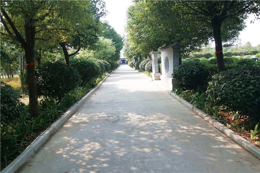 黄龙岗陵园